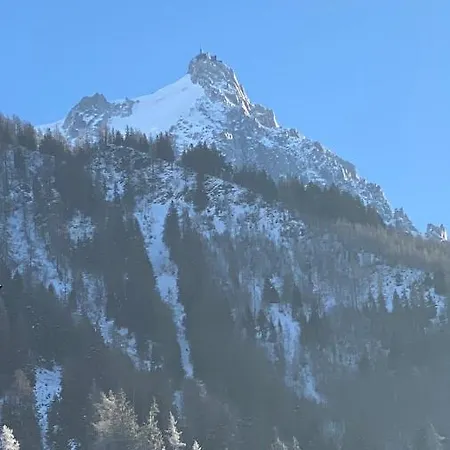 Confortable F2 1 A 4 Pers Vue Montagne * 샤모니